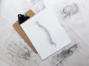 Useful Exercises for Lower Back Pain Relief Inline Osteo Google Docs 1